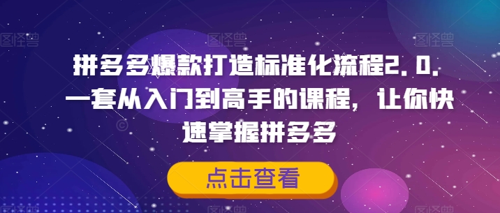 拼多多爆款打造标准化流程2.0，一套从入门到高手的课程，让你快速掌握拼多多-猫哥网资源库