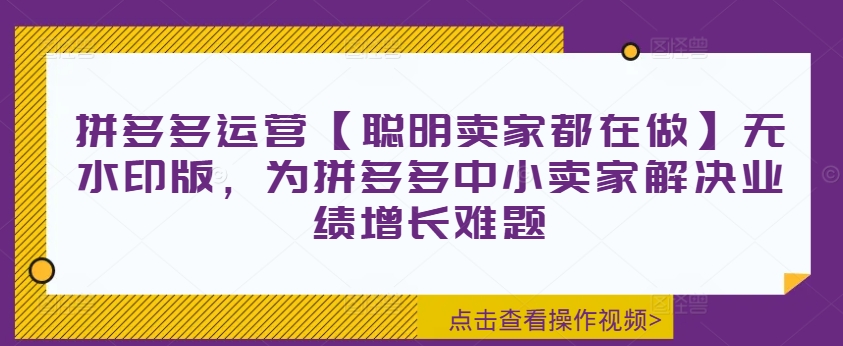 拼多多运营【聪明卖家都在做】无水印版，为拼多多中小卖家解决业绩增长难题-猫哥网资源库