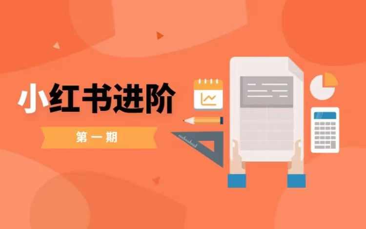 小红书进阶篇，零基础小白实战课，普通人变现的课程-猫哥网资源库