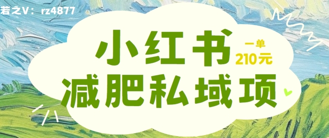 小红书减肥粉，私域变现项目，一单就达210元，小白也能轻松上手【揭秘】-猫哥网资源库