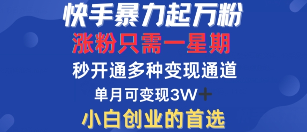 快手暴力起万粉，涨粉只需一星期，多种变现模式，直接秒开万合，单月变现过W【揭秘】-猫哥网资源库