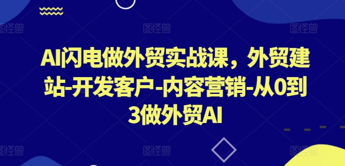 AI闪电做外贸实战课，​外贸建站-开发客户-内容营销-从0到3做外贸AI（更新）-猫哥网资源库