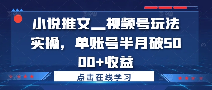 小说推文—视频号玩法实操，单账号半月破5000+收益-猫哥网资源库