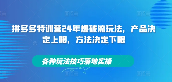 拼多多特训营24年爆破流玩法，产品决定上限，方法决定下限，各种玩法技巧落地实操-猫哥网资源库