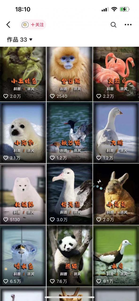 动物科普解说项目，撸创作者伙伴计划收益，保姆级实战教程-猫哥网资源库