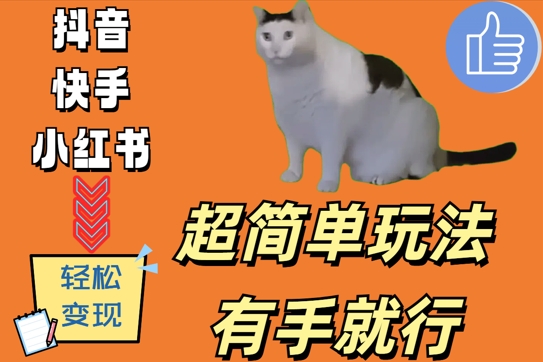 超简单玩法，有手就行，靠猫咪视频日入500+【揭秘】-猫哥网资源库
