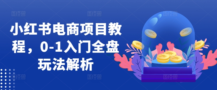 小红书电商项目教程，0-1入门全盘玩法解析-猫哥网资源库