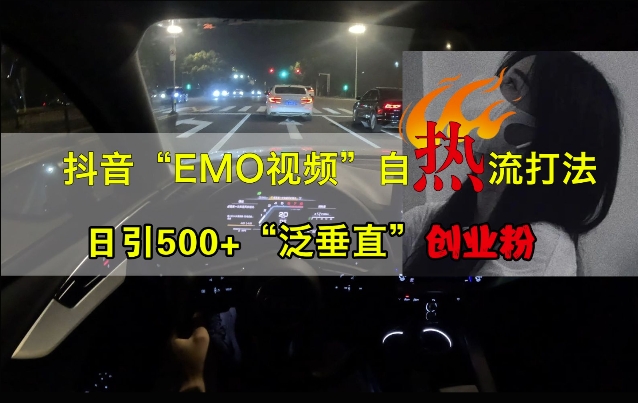 抖音EMO视频自热打法，日引500+“泛垂直”创业粉-猫哥网资源库