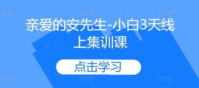 亲爱的安先生-小白3天线上集训课-猫哥网资源库