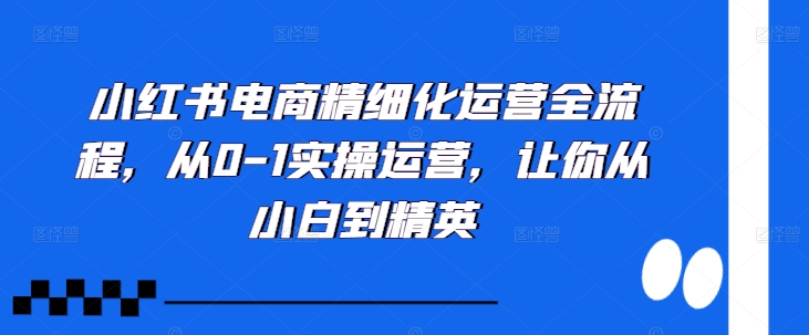 小红书电商精细化运营全流程，从0-1实操运营，让你从小白到精英-猫哥网资源库