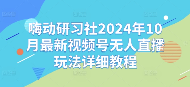 嗨动研习社2024年10月最新视频号无人直播玩法详细教程-猫哥网资源库