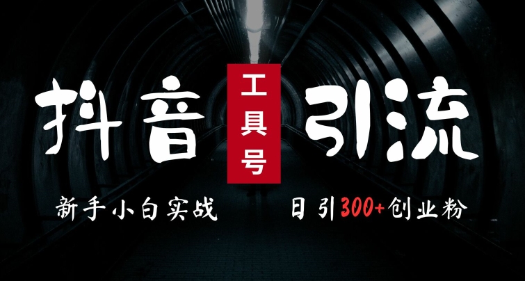 2024最新抖音工具号引流玩法，高效日引300+创业粉，当天变现5k，小白也可成为实战高手-猫哥网资源库