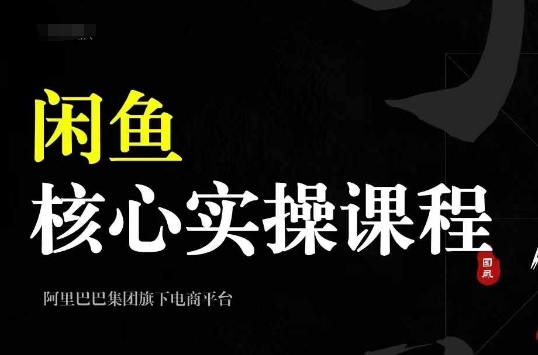 2024闲鱼核心实操课程，从养号、选品、发布、销售，教你做一个出单的闲鱼号-猫哥网资源库