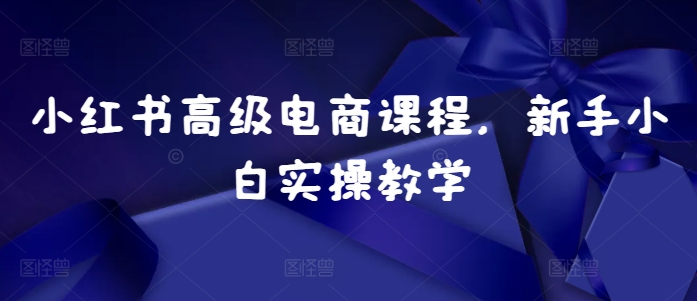 小红书高级电商课程，新手小白实操教学-猫哥网资源库