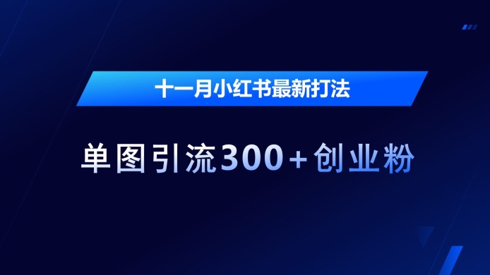 十一月小红书最新打法，单图引流300+创业粉【揭秘】-猫哥网资源库