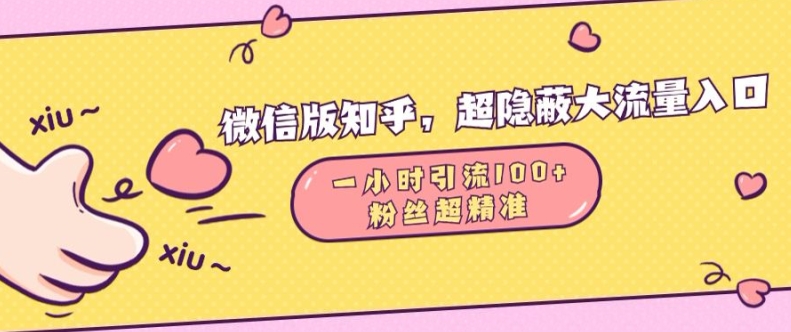 微信版知乎，超隐蔽流量入口1小时引流100人，粉丝质量超高【揭秘】-猫哥网资源库