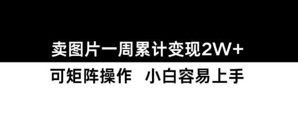 小红书【卖图片】一周累计变现2W+小白易上手-猫哥网资源库