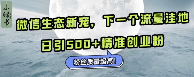 微信生态新宠小绿书：下一个流量洼地，日引500+精准创业粉，粉丝质量超高-猫哥网资源库