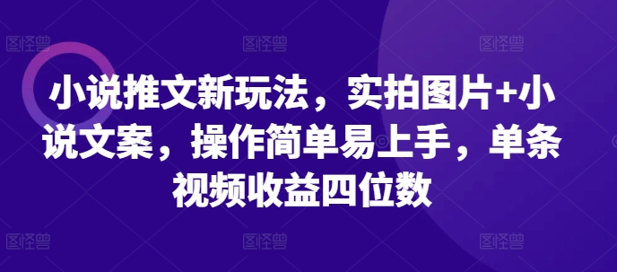 小说推文新玩法，实拍图片+小说文案，操作简单易上手，单条视频收益四位数-猫哥网资源库