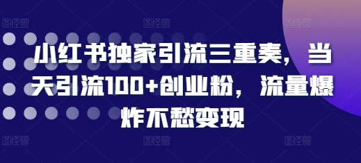 小红书独家引流三重奏，当天引流100+创业粉，流量爆炸不愁变现【揭秘】-猫哥网资源库