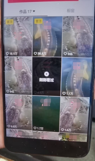 外面卖399的国学佛像原创暴力起号技术，快速起号，7天可达到一个万粉号-猫哥网资源库