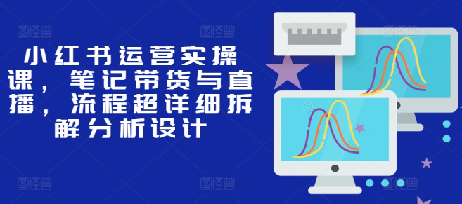 小红书运营实操课，笔记带货与直播，流程超详细拆解分析设计-猫哥网资源库