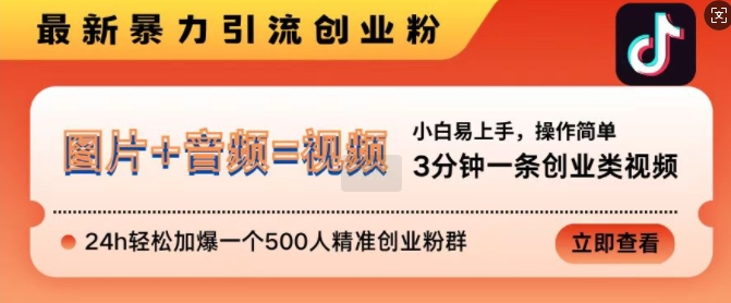 抖音最新暴力引流创业粉，3分钟一条创业类视频，24h轻松加爆一个500人精准创业粉群【揭秘】-猫哥网资源库