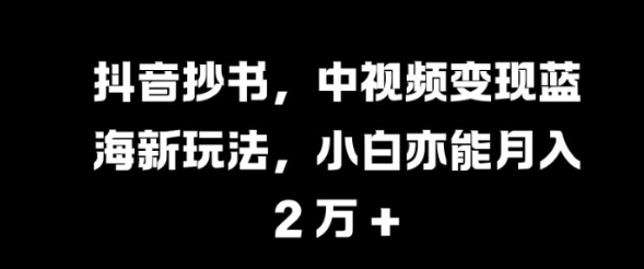 抖音抄书，中视频变现蓝海新玩法，小白亦能月入 过W【揭秘】-猫哥网资源库