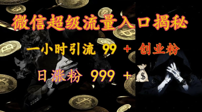微信超级流量入口揭秘：一小时引流 99 + 创业粉，日涨粉 999 +-猫哥网资源库