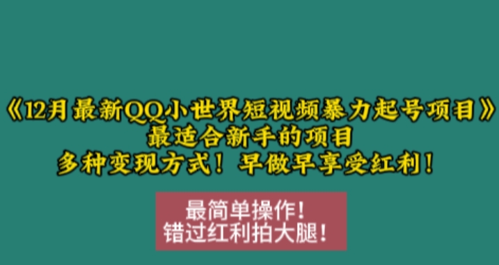 12月最新QQ小世界短视频暴力起号项目，最适合新手的项目，多种变现方式-猫哥网资源库