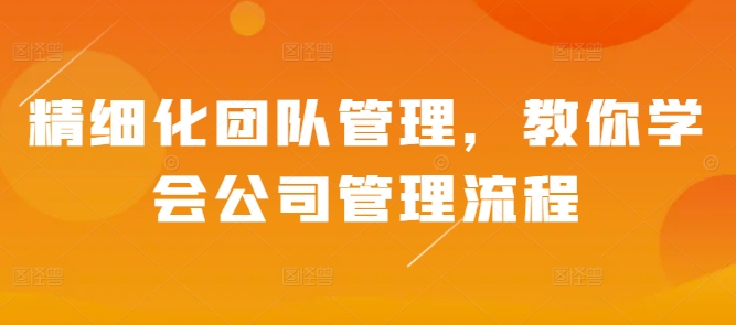 精细化团队管理，教你学会公司管理流程-猫哥网资源库
