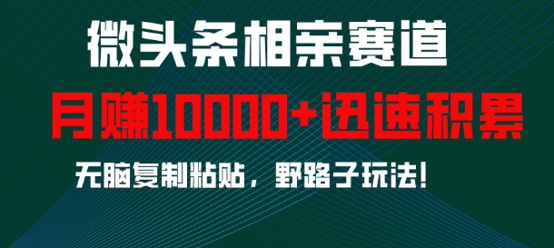 微头条相亲赛道，迅速积累，无脑复制粘贴，野路子玩法，月入1w-猫哥网资源库