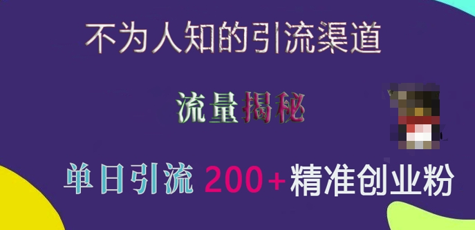 不为人知的引流渠道，流量揭秘，实测单日引流200+精准创业粉【揭秘】-猫哥网资源库