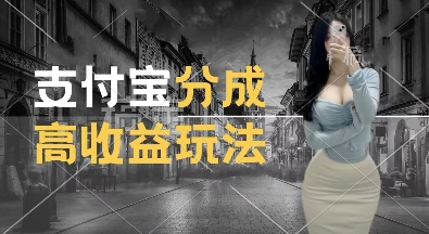 支付宝分成计划新玩法，利用交通事故视频，赚收益，轻松月入过W，操作简单【揭秘】-猫哥网资源库