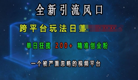 全新引流风口，跨平台玩法日入上k，单日狂揽200+精准创业粉，一个被严重忽略的视频平台-猫哥网资源库