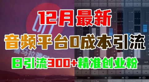 12月最新：音频平台0成本引流，日引流300+精准创业粉-猫哥网资源库