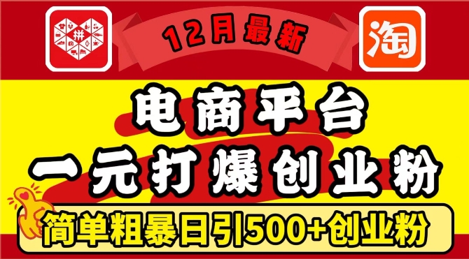 12月最新：电商平台1元打爆创业粉，简单粗暴日引500+精准创业粉，轻松月入过W【揭秘】-猫哥网资源库