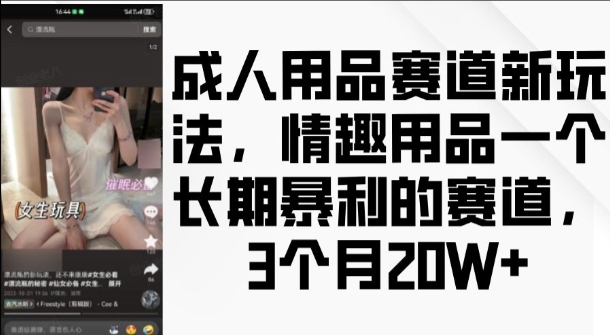 成人用品赛道新玩法，情趣用品一个长期暴利的赛道，3个月收益20个【揭秘】-猫哥网资源库