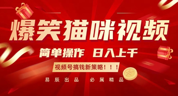 爆笑猫咪视频：简单操作，日入过K，视频号搞钱新策略【揭秘】-猫哥网资源库