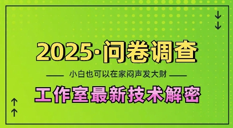 2025问卷调查最新工作室技术解密：一个人在家也可以闷声发大财，小白一天2张，可矩阵放大【揭秘】-猫哥网资源库