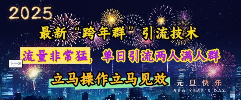 最新“跨年群”引流，流量非常猛，单日引流两人满人群，立马操作立马见效【揭秘】-猫哥网资源库