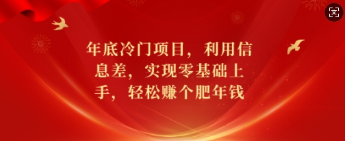 年底冷门项目，利用信息差，实现零基础上手，轻松赚个肥年钱【揭秘】-猫哥网资源库