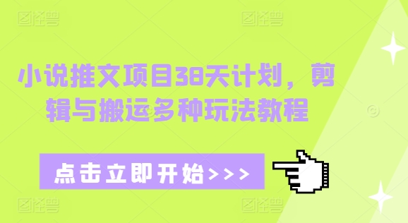 小说推文项目38天计划，剪辑与搬运多种玩法教程-猫哥网资源库