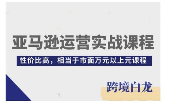 亚马逊运营实战课程，亚马逊从入门到精通，性价比高，相当于市面万元以上元课程-猫哥网资源库