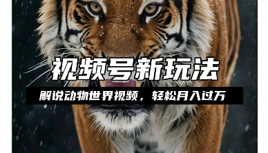 利用动物世界解说视频，赚分成计划收益，轻松月入过W，操作简单【揭秘】-猫哥网资源库