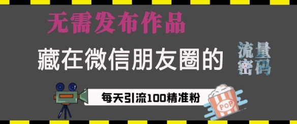 藏在微信朋友圈的流量密码，无需发布作品，单日引流100+精准创业粉【揭秘】-猫哥网资源库