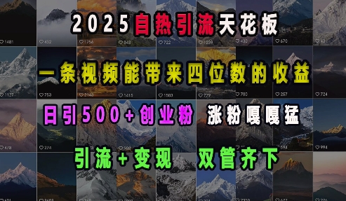 2025自热引流天花板，一条视频能带来四位数的收益，引流+变现双管齐下，日引500+创业粉，涨粉嘎嘎猛-猫哥网资源库