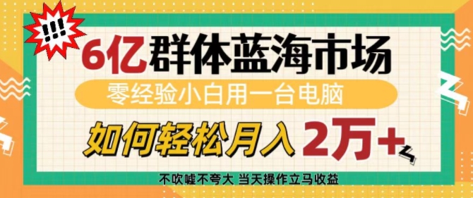 6亿群体蓝海市场，零经验小白用一台电脑，如何轻松月入过w【揭秘】-猫哥网资源库