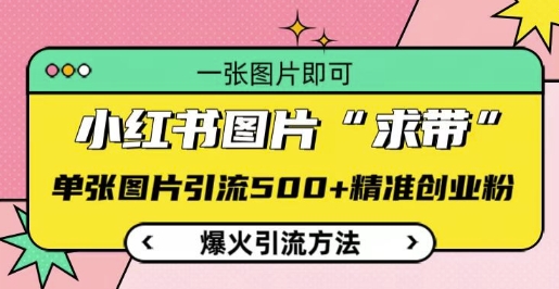 小红书图片‘求带’爆火引流法，单张图片引流500+精准创业粉【揭秘】-猫哥网资源库