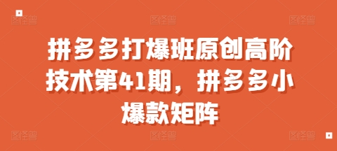拼多多打爆班原创高阶技术第41期，拼多多小爆款矩阵-猫哥网资源库